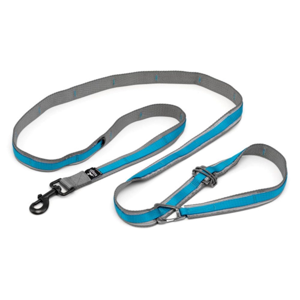 Quantum 1in Blue Dog Leash | Collars, Leashes & Harnesses Collars, Leashes & Harnesses Collars, Leashes & Harnesses