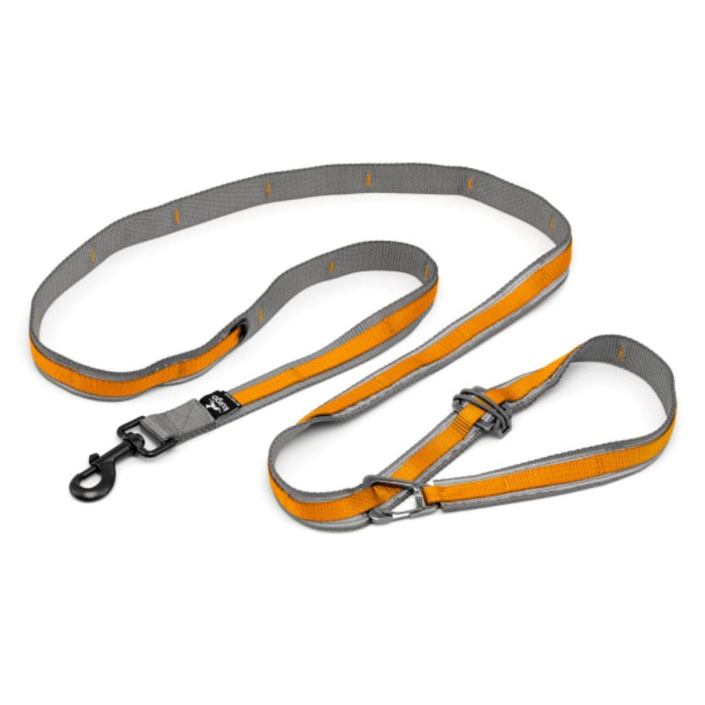 Quantum 1in Orange Dog Leash | Collars, Leashes & Harnesses Collars, Leashes & Harnesses Collars, Leashes & Harnesses