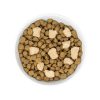 Raw Blend Free Range Recipe Dog Food | Dry Food Dog Dog