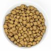 Raw Coated Wholesome Grain Chicken Recipe Dog Food | Dry Food Dog Dog