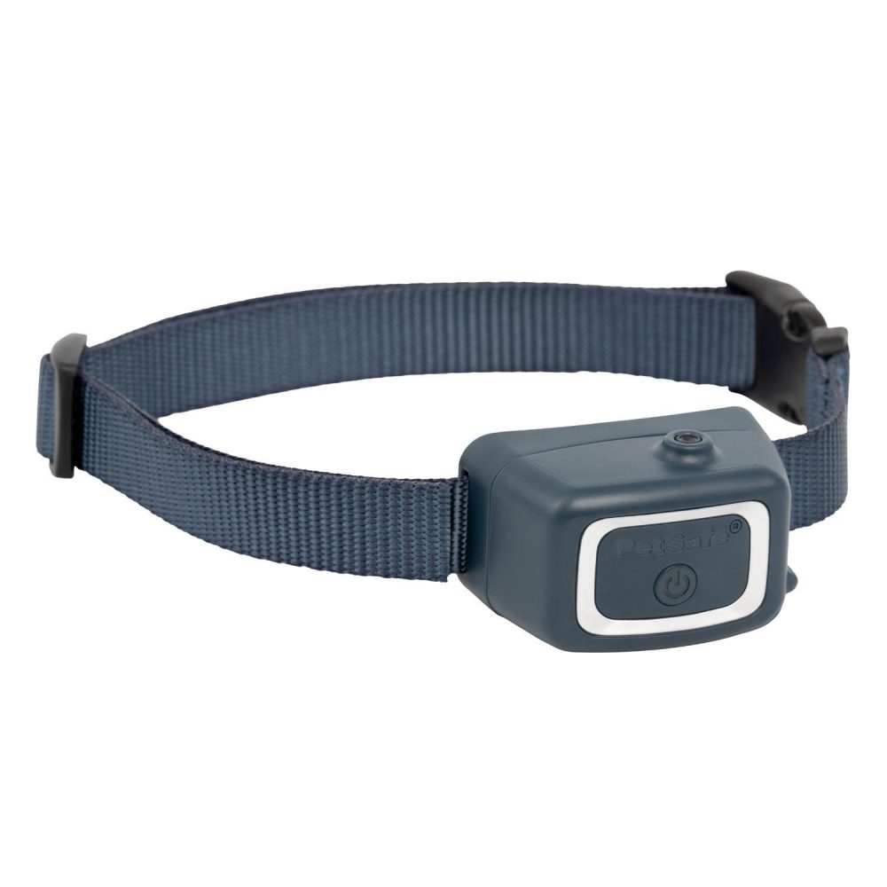 Rechargeable Spray Bark Control Dog Collar | Training & Behaviour Dog Dog