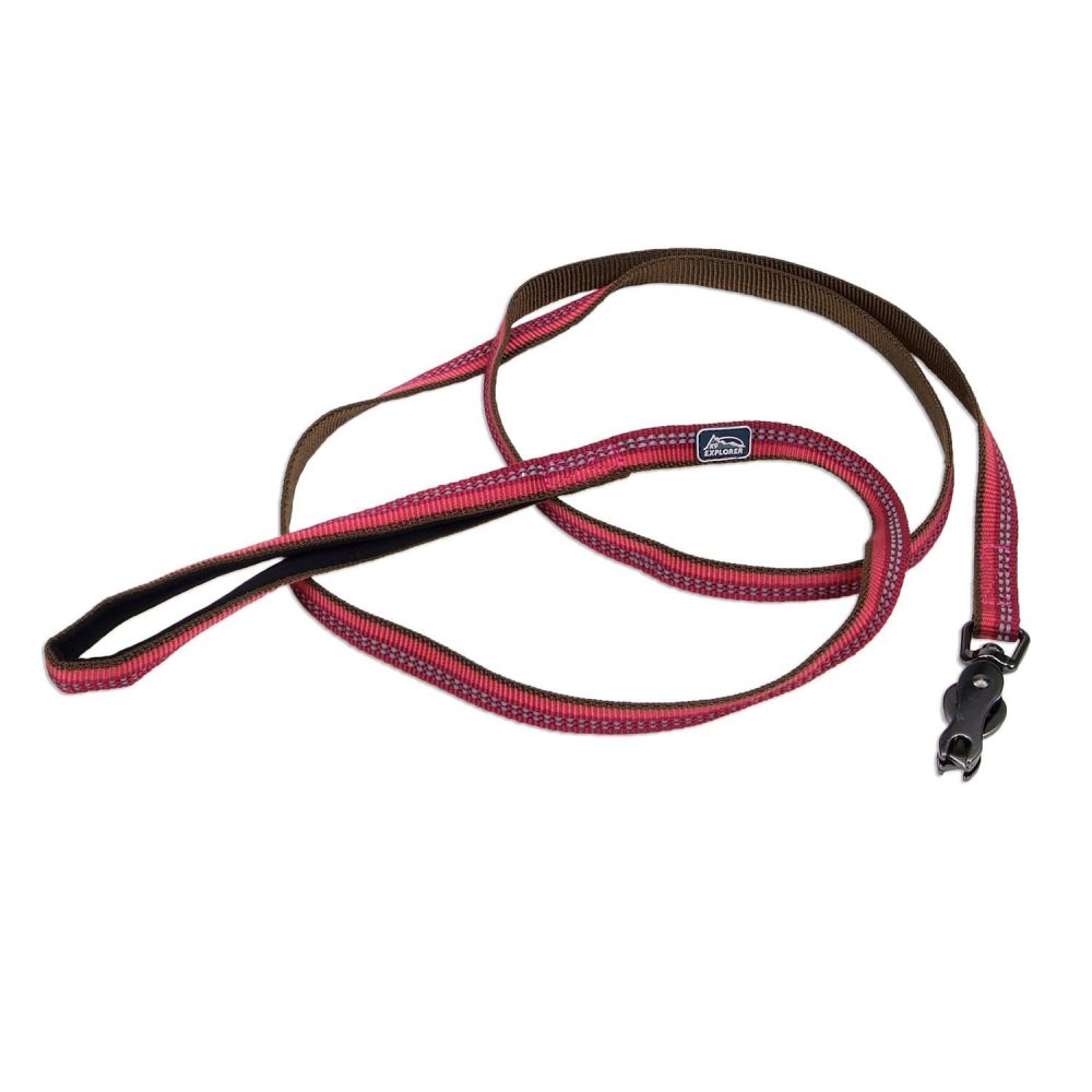 Reflective Nylon Scissor Snap Dog Leash 1in – Berry | Collars, Leashes & Harnesses Collars, Leashes & Harnesses Collars, Leashes & Harnesses