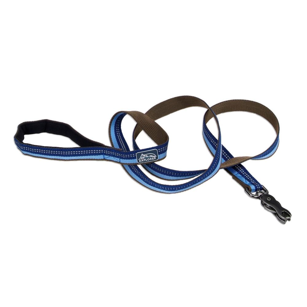 Reflective Nylon Scissor Snap Dog Leash 1in – Sapphire | Collars, Leashes & Harnesses Collars, Leashes & Harnesses Collars, Leashes & Harnesses