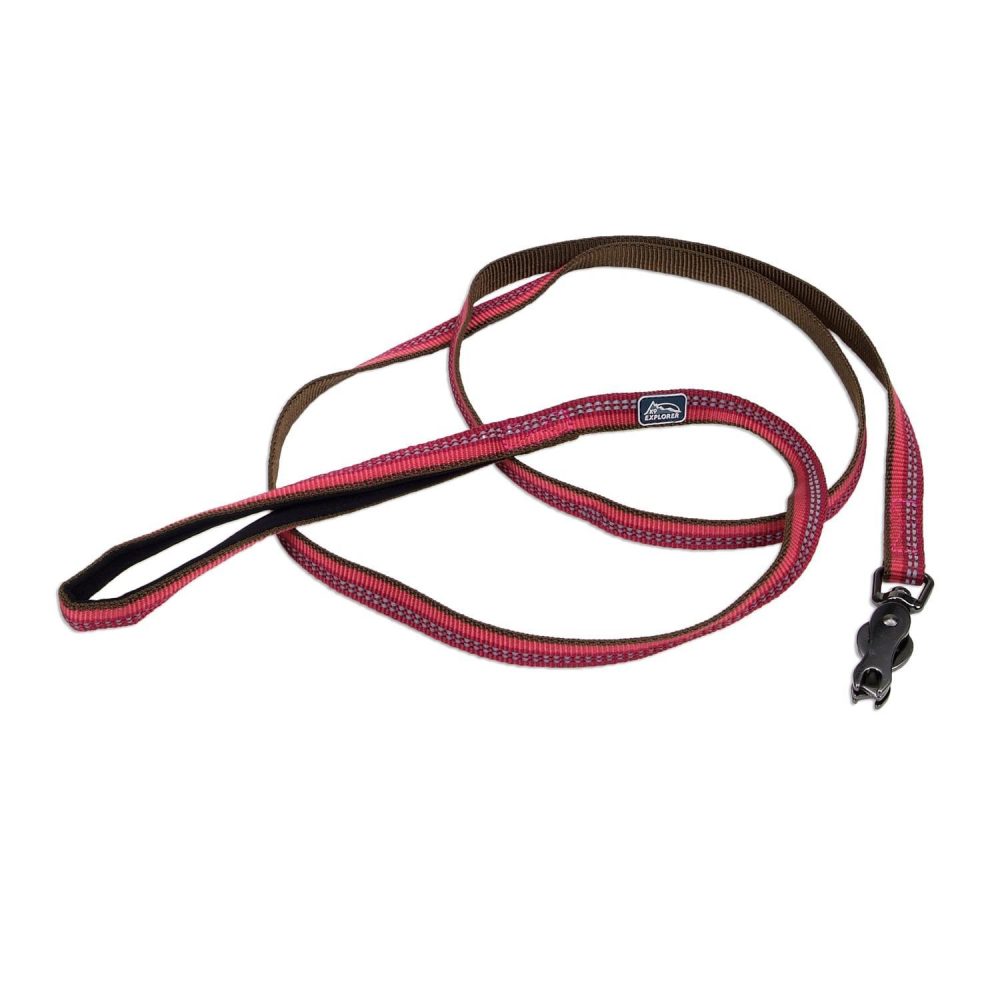 Reflective Nylon Scissor Snap Dog Leash 5/8in – Berry | Collars, Leashes & Harnesses Collars, Leashes & Harnesses Collars, Leashes & Harnesses