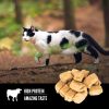 Regional Red Freeze-Dried Cat Treats | Treats Cat Cat