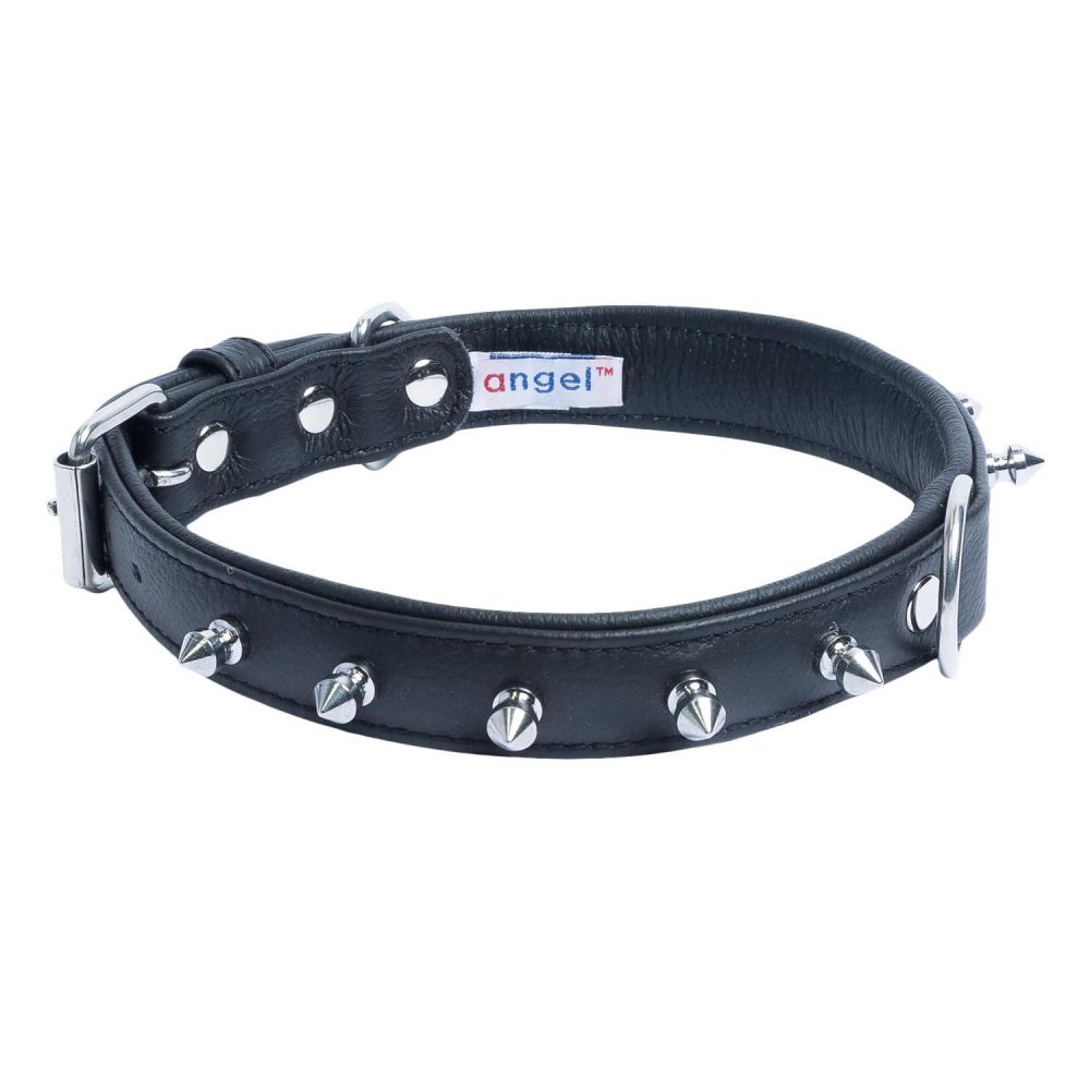 Rotterdam Dog Collar Leather Spiked Midnight Black | Collars, Leashes & Harnesses Collars, Leashes & Harnesses Collars, Leashes & Harnesses