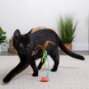 Rowdy Rocker Cat Toy | Toys Cat Cat