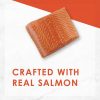 Salmon Feast Pate Cat Food / 3 oz – 24 pk | Wet Food Cat Cat