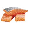 Salmon Fillets Dog & Cat Treats | Treats Bones & Chews Cat