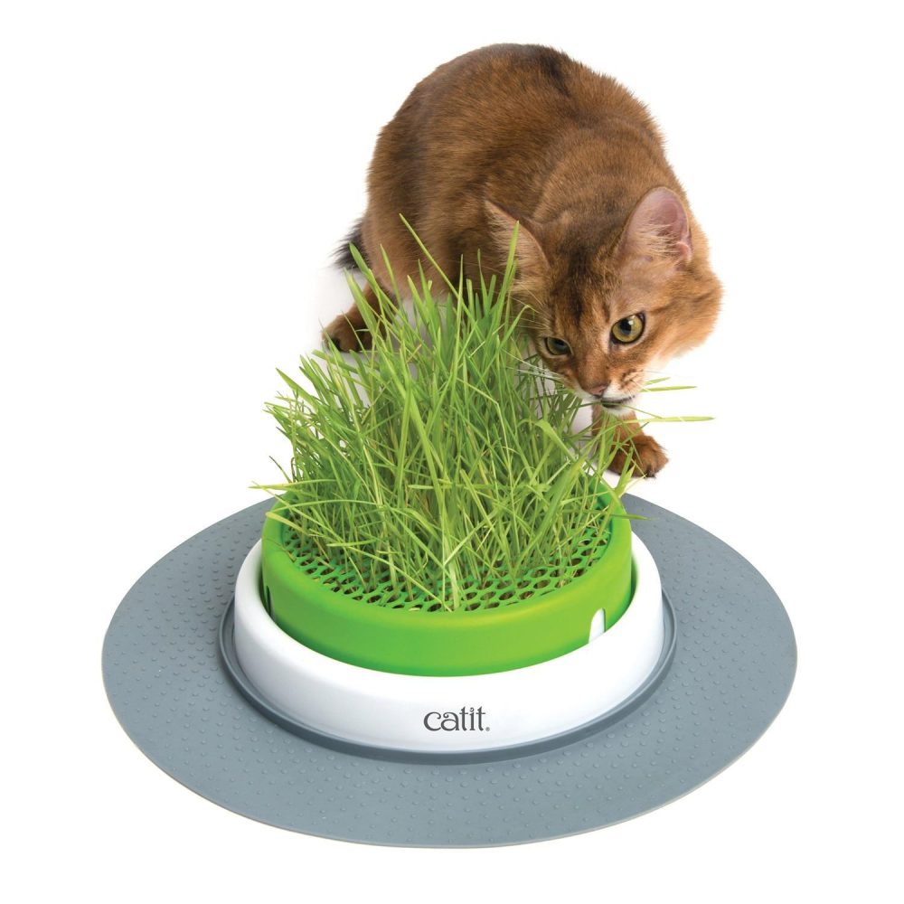 Senses 2.0 Grass Planter | Toys Cat Cat