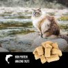 Six Fish Freeze-Dried Cat Treats | Treats Cat Cat