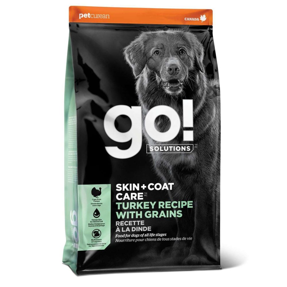 Skin + Coat Care Turkey With Grains Recipe Dog Food | Dry Food Dog Dog