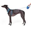 Soft Grip Ribbon Tape 16ft Retractable Blue Dog Leash | Collars, Leashes & Harnesses Collars, Leashes & Harnesses Collars, Leashes & Harnesses