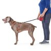 Soft Grip Ribbon Tape 16ft Retractable Red Dog Leash | Collars, Leashes & Harnesses Collars, Leashes & Harnesses Collars, Leashes & Harnesses