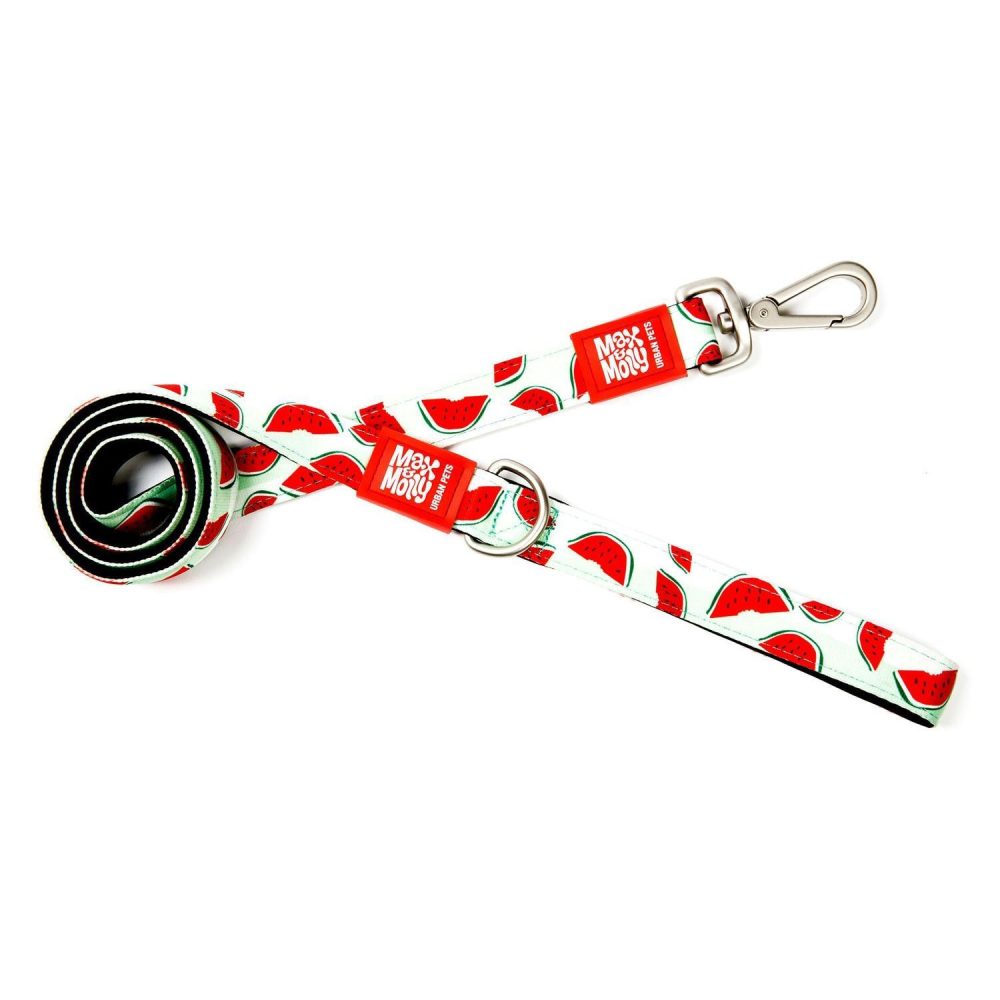 Soft Padded Neoprene Dog Leash 1in Watermelon | Collars, Leashes & Harnesses Collars, Leashes & Harnesses Collars, Leashes & Harnesses