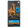 Specialized Chicken & Rice Formula Large Breed Adult Dog | Dry Food Dog Dog