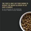 Specialized LiveClear Chicken & Rice Formula Adult Cat Food | Dry Food Cat Cat