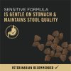 Specialized Sensitive Skin & Stomach Salmon & Rice Formula Adult Dog Food | Dry Food Dog Dog