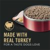 Specialized Sensitive Skin & Stomach Turkey & Oat Meal Entree Adult Dog Food / 13 oz – 12 pk | Wet Food Dog Dog