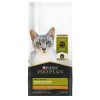 Specialized Weight Management Chicken & Rice Formula Adult Cat Food | Dry Food Cat Cat