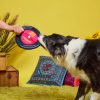 Sqeakadelic Tune Dog Toy | Toys Dog Dog