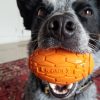 Squeaker Football – Orange | Toys Dog Dog