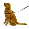 Step-In Red Dog Harness | Collars, Leashes & Harnesses Collars, Leashes & Harnesses Collars, Leashes & Harnesses