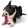 T-Bone Bacon Chew Dog Toy | Toys Dog Dog