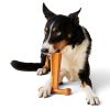 T-Bone Peanut Butter Chew Dog Toy | Toys Dog Dog