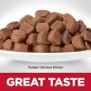 Tender Chicken Dinner Adult Cat Food / 2.8 oz – 24 pk | Wet Food Cat Cat