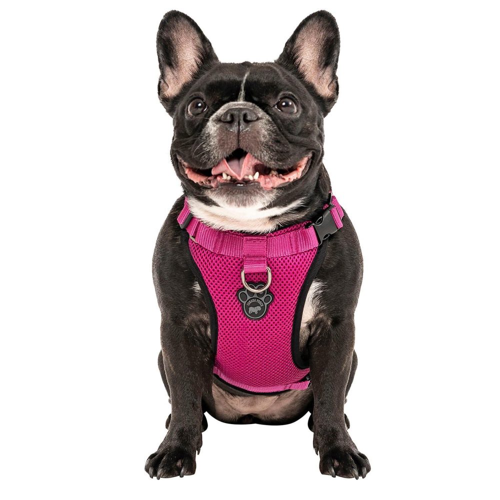 The Everything Mesh Dog Harness Pink | Collars, Leashes & Harnesses Collars, Leashes & Harnesses Collars, Leashes & Harnesses