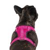 The Everything Mesh Dog Harness Pink | Collars, Leashes & Harnesses Collars, Leashes & Harnesses Collars, Leashes & Harnesses