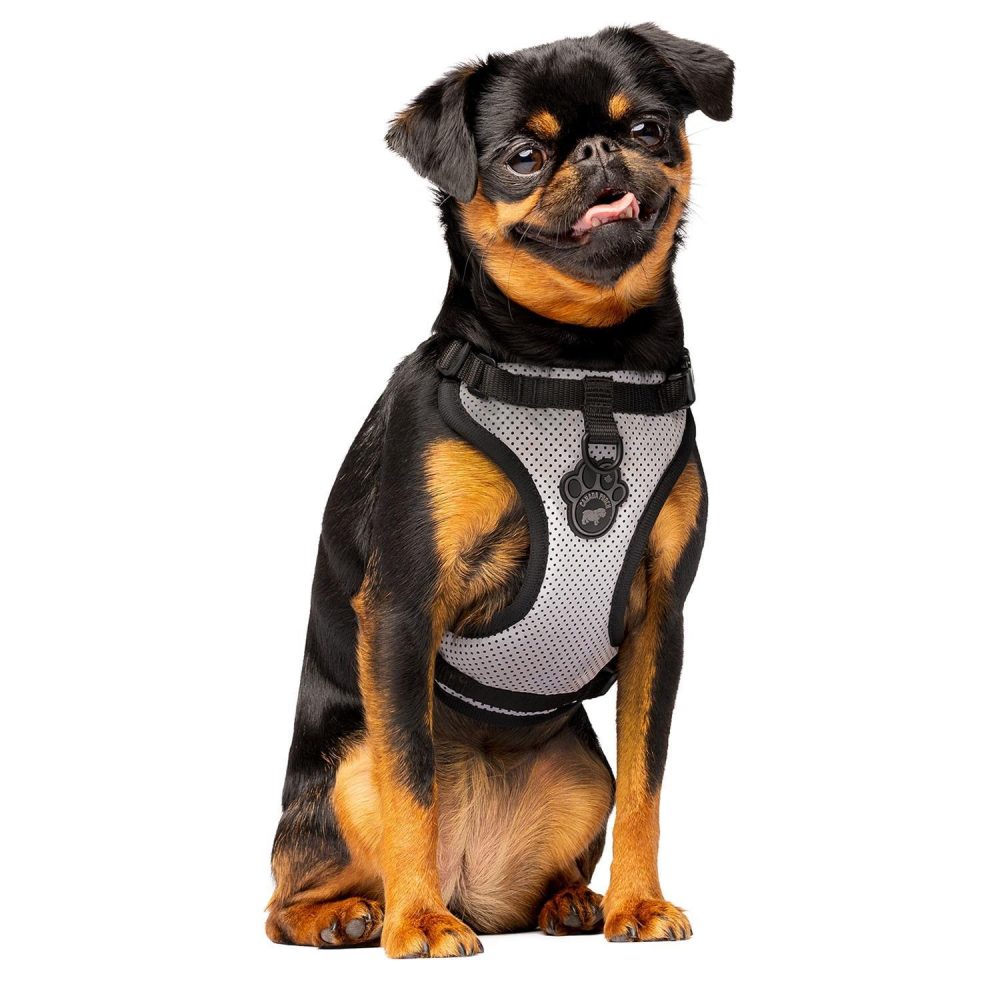 The Everything Mesh Dog Harness Reflective | Collars, Leashes & Harnesses Collars, Leashes & Harnesses Collars, Leashes & Harnesses