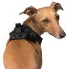 The Everything Mesh Harness Black | Collars, Leashes & Harnesses Collars, Leashes & Harnesses Collars, Leashes & Harnesses