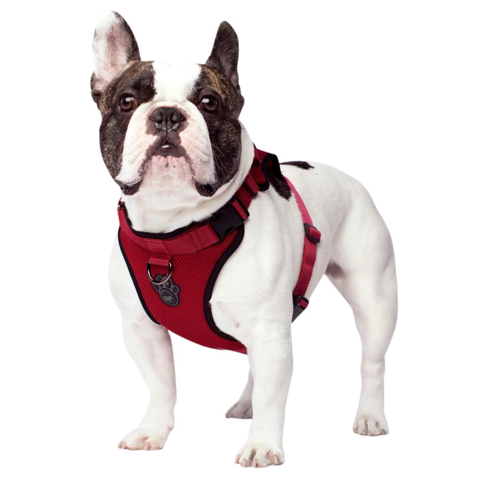 The Everything Mesh Harness Red | Collars, Leashes & Harnesses Collars, Leashes & Harnesses Collars, Leashes & Harnesses