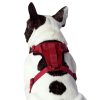 The Everything Mesh Harness Red | Collars, Leashes & Harnesses Collars, Leashes & Harnesses Collars, Leashes & Harnesses