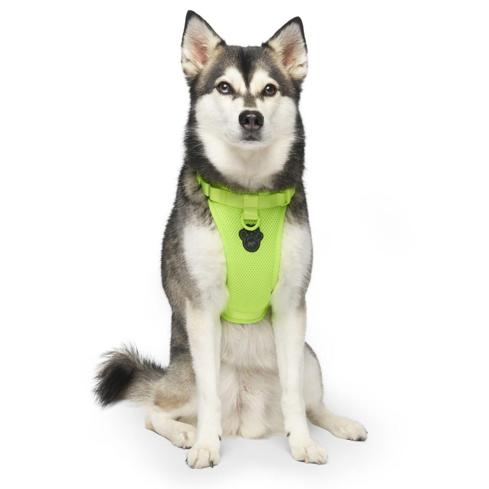 The Everything Mesh Neon Green Dog Harness | Collars, Leashes & Harnesses Collars, Leashes & Harnesses Collars, Leashes & Harnesses