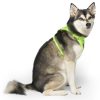 The Everything Mesh Neon Green Dog Harness | Collars, Leashes & Harnesses Collars, Leashes & Harnesses Collars, Leashes & Harnesses