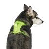 The Everything Mesh Neon Green Dog Harness | Collars, Leashes & Harnesses Collars, Leashes & Harnesses Collars, Leashes & Harnesses