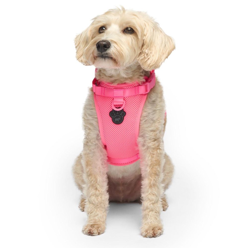 The Everything Mesh Neon Pink Dog Harness | Collars, Leashes & Harnesses Collars, Leashes & Harnesses Collars, Leashes & Harnesses