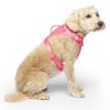 The Everything Mesh Neon Pink Dog Harness | Collars, Leashes & Harnesses Collars, Leashes & Harnesses Collars, Leashes & Harnesses