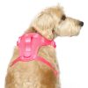 The Everything Mesh Neon Pink Dog Harness | Collars, Leashes & Harnesses Collars, Leashes & Harnesses Collars, Leashes & Harnesses