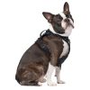 The Everything Water-Resistant Harness Splatter | Collars, Leashes & Harnesses Collars, Leashes & Harnesses Collars, Leashes & Harnesses