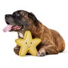 Tuff Starfish Dog Toy | Toys Dog Dog