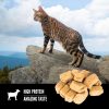 Tundra Freeze-Dried Cat Treats | Treats Cat Cat