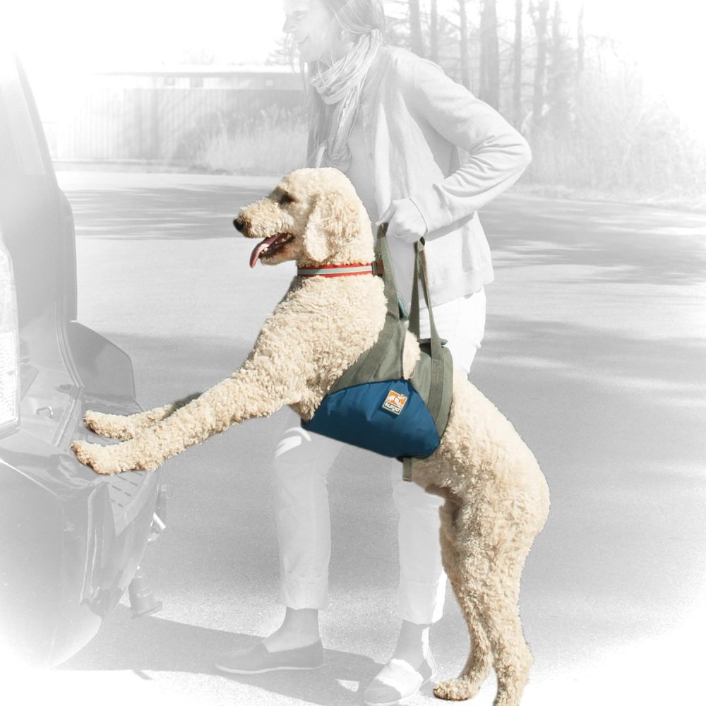 Up & About Dog Lifter | Carriers & Travel Accessories Carriers & Travel Accessories Carriers & Travel Accessories