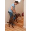 Up & About Dog Lifter | Carriers & Travel Accessories Carriers & Travel Accessories Carriers & Travel Accessories