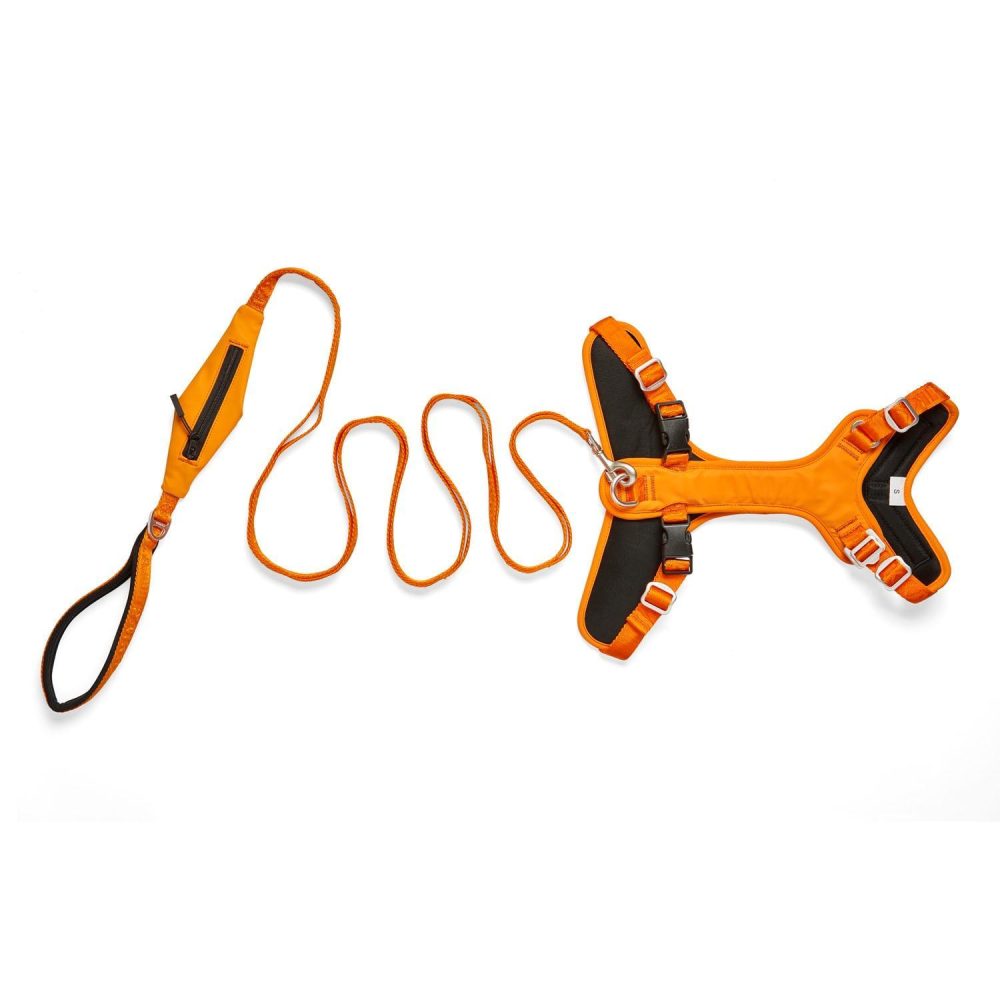 Visibility Dog Harness Orange | Collars, Leashes & Harnesses Collars, Leashes & Harnesses Collars, Leashes & Harnesses