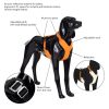 Visibility Dog Harness Orange | Collars, Leashes & Harnesses Collars, Leashes & Harnesses Collars, Leashes & Harnesses