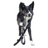 Visibility Dog Leash Black | Collars, Leashes & Harnesses Collars, Leashes & Harnesses Collars, Leashes & Harnesses